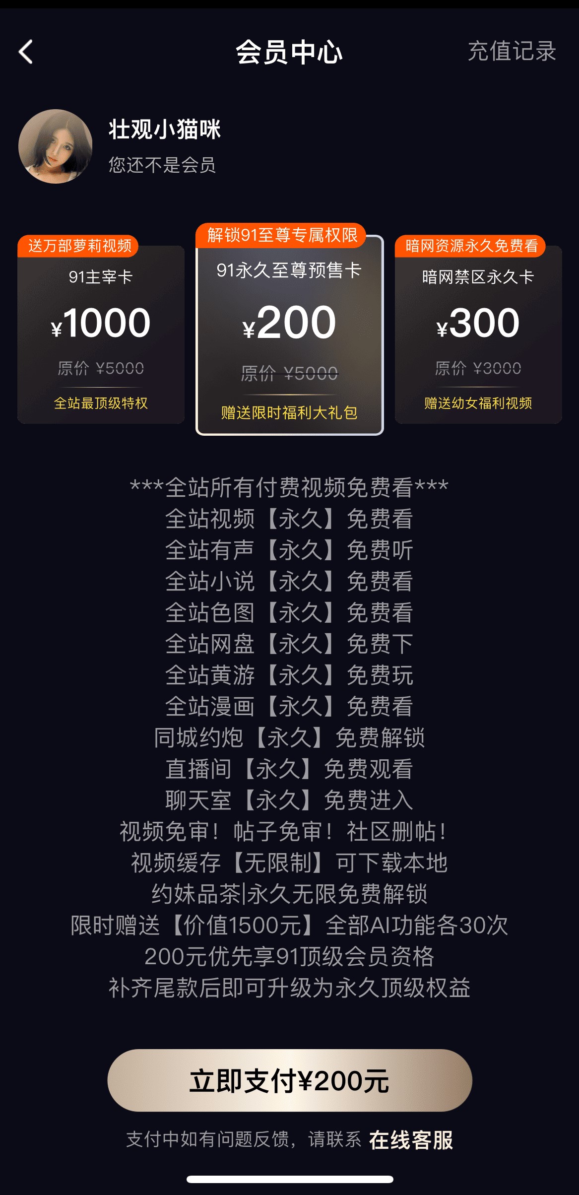 91PO会员开通页面VIP套餐与特权说明界面